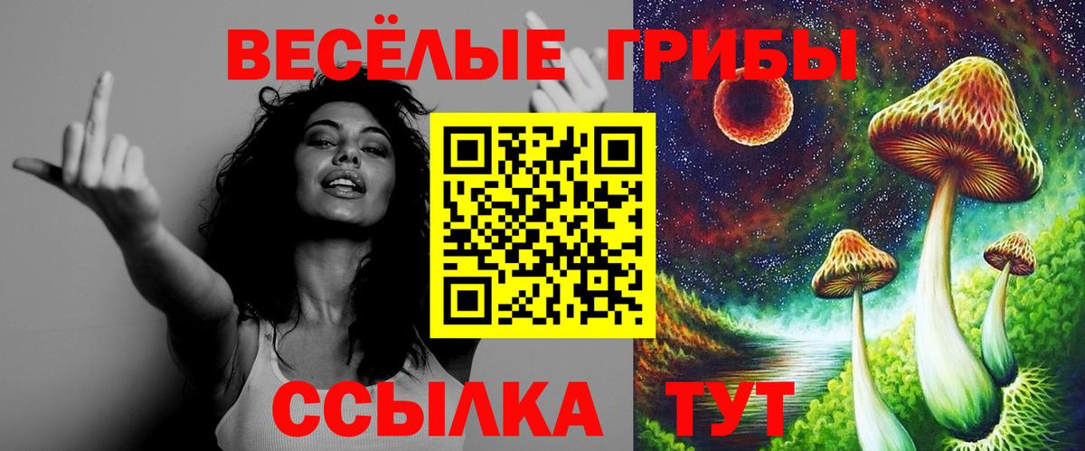 Новокузнецк  Псилоцибиновые грибы мухоморы  Вход с VPN 