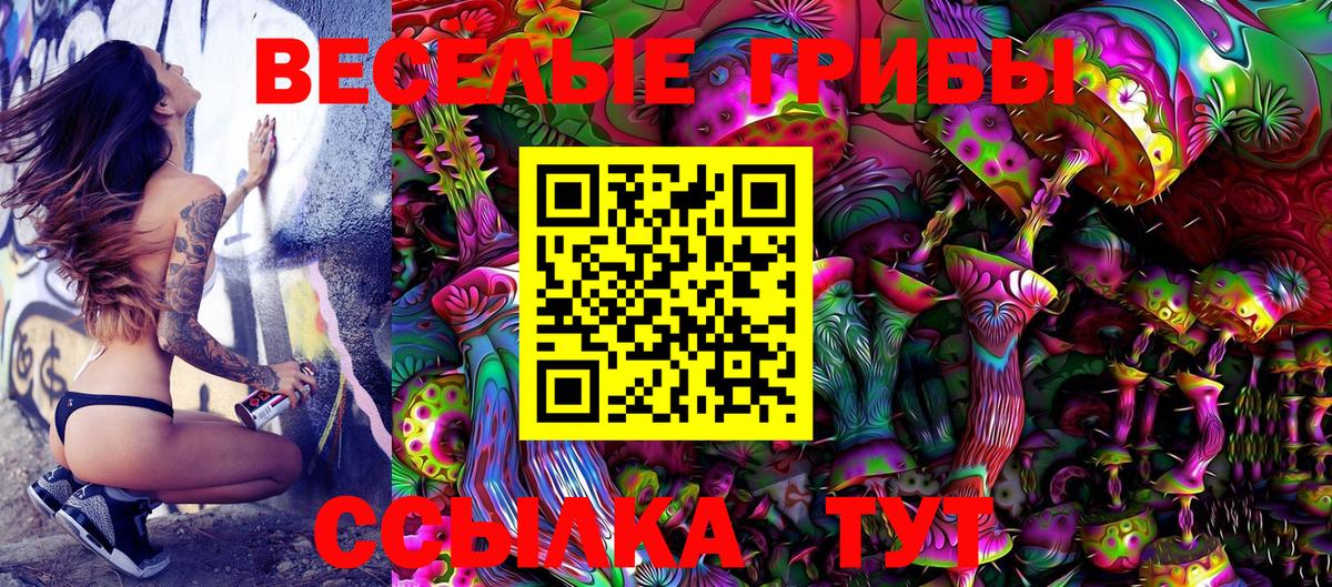 Псилоцибиновые грибы MAGIC MUSHROOMS Новокузнецк